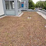 Dachbegrünung